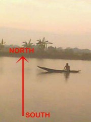 CHINGRI FISH PROJECT IN 364 SHOTOK 12 BIGHA WITH ALL FISH.