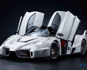 BODY KIT DESIGNER CAR HOOD Velocity Ride Your Passion 
