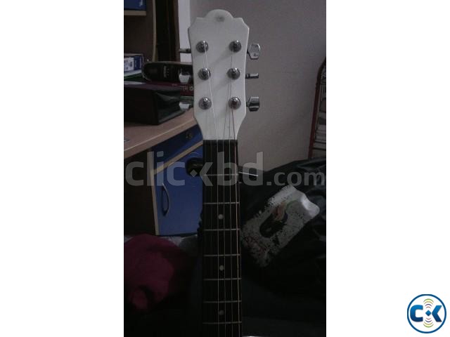 Washburn Custom Acoustic Guitar NEW large image 0