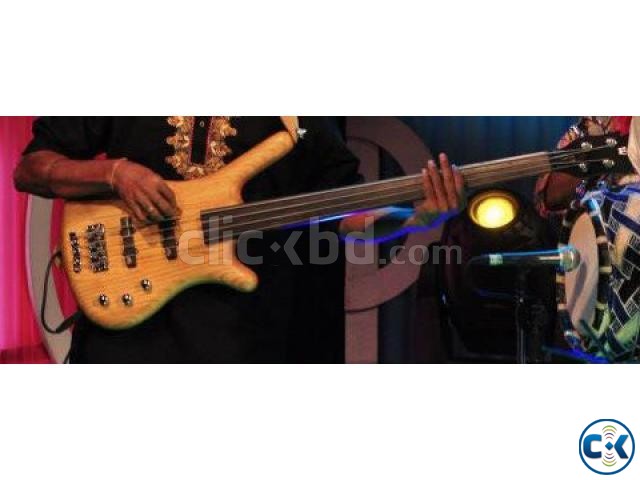 warwick fretless bass guitars large image 0