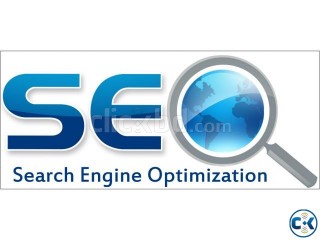 Need SEO Expert