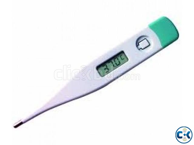 Digital Tharmo Meter large image 0