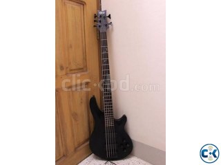 Schecter Damien 5