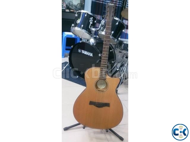 GUSON pure ACoustic Guitar large image 0