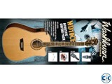 Washbourn Guitar WD10CE 