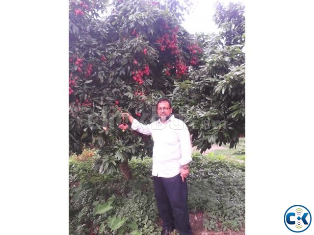 2 acre industrial plot at BBIN zone large image 0