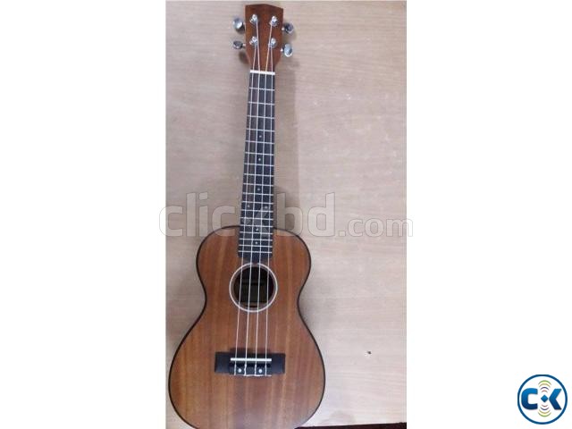 Brand NEW Concert Winfer UKULELE large image 0