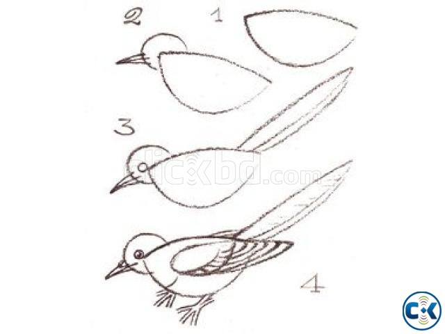Drawing tutor From DU large image 0