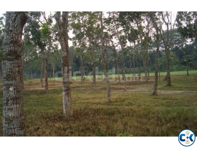 Land For Sell large image 0