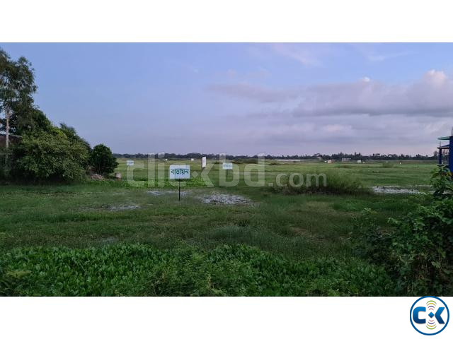 অল্প দিনেই অধিক মুনাফা large image 0