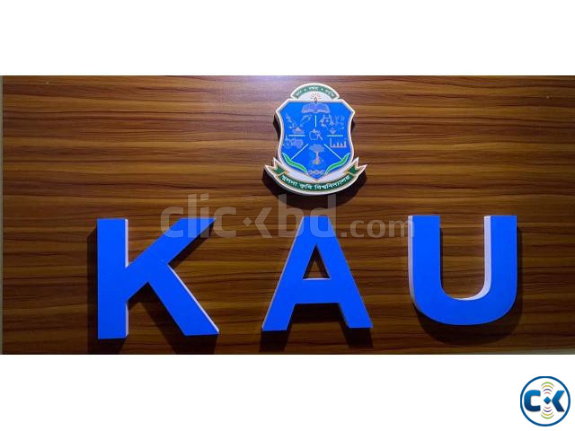 SS Acrylic Top Latter 3D LED Bata Latter large image 3