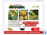 রাজশাহীর গোপালভোগ আম