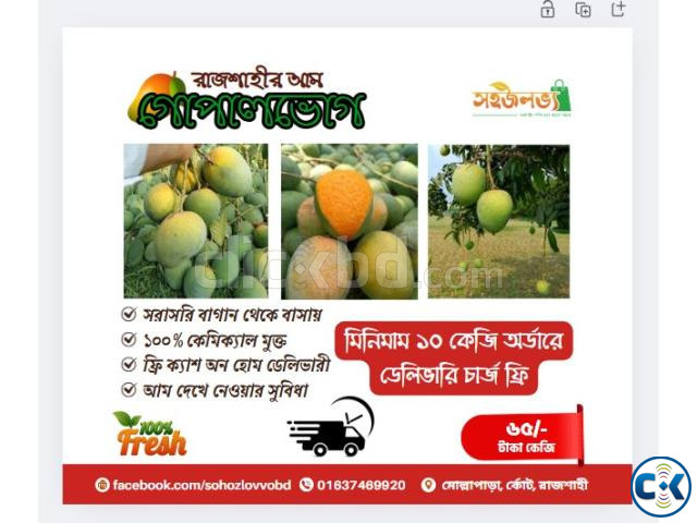 রাজশাহীর গোপালভোগ আম large image 0