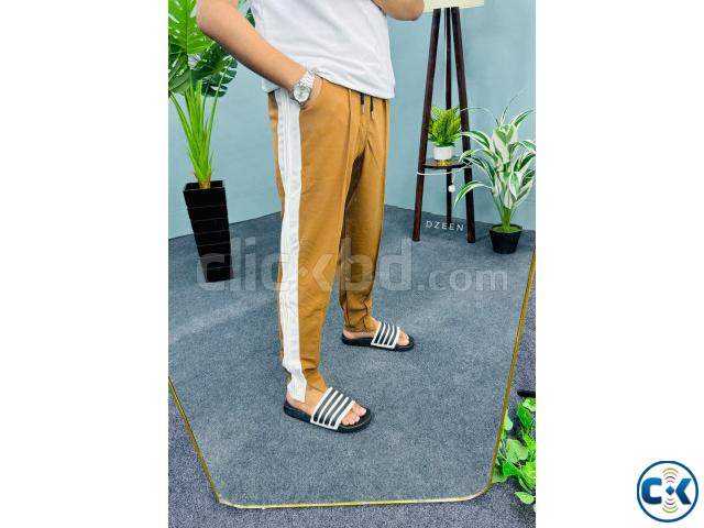   large image 0