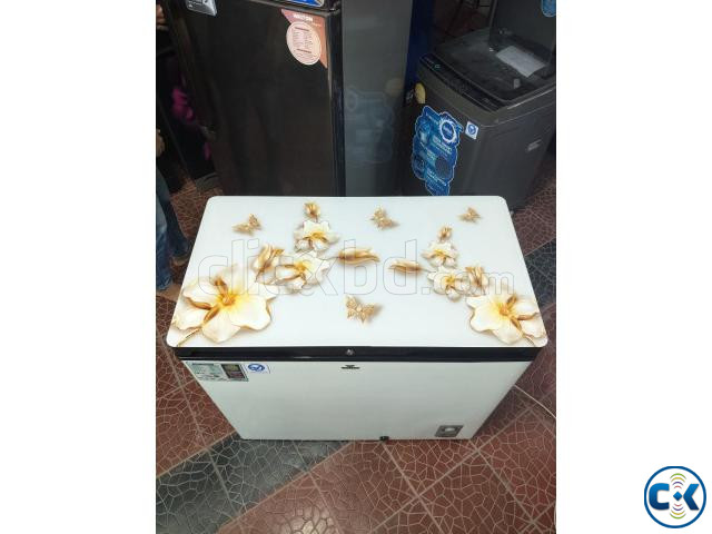 নতুনের মতো ফ্রেশ 205 Litre Deep Fridge বিক্রি হবে  large image 0