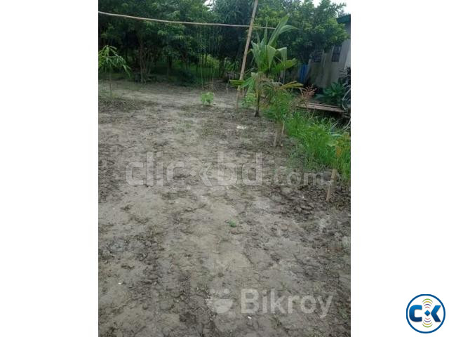 ৫ কাঠা নিচু জমি বিক্রয় হবে large image 2