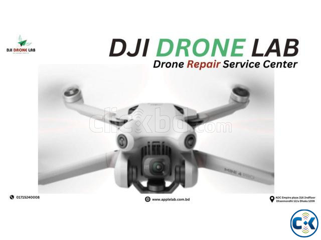 done crush হওয়ার পর আর উড়ছে না  large image 0