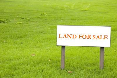 Urgent Land Sale at South Keraniganj Dhaka large image 0