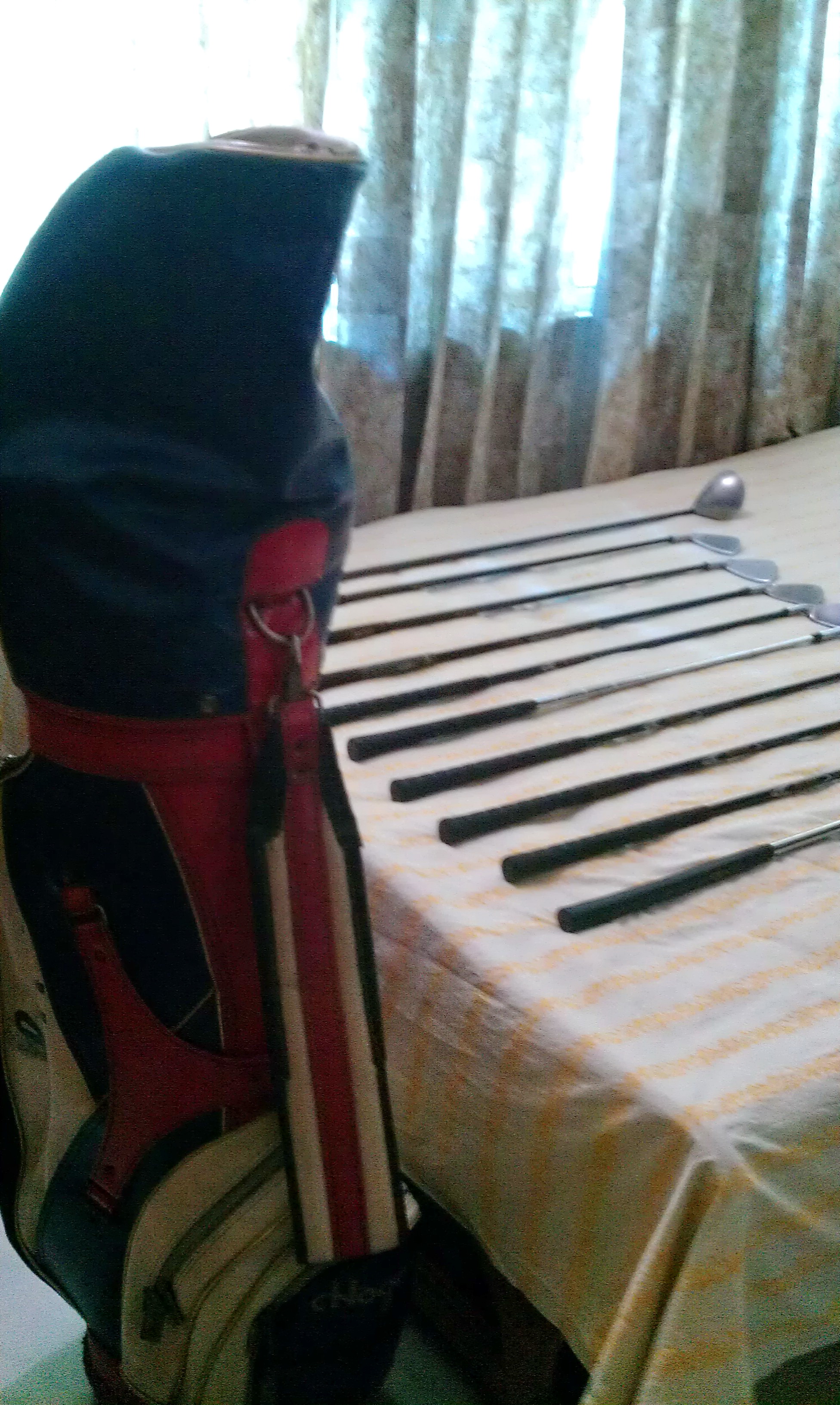 GOLF CLUBS 10 set with iron and putter BAG large image 0