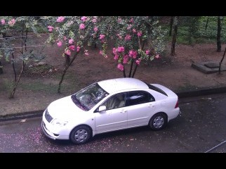 Toyota X Corolla New - 2005 Model Registration-May 2012